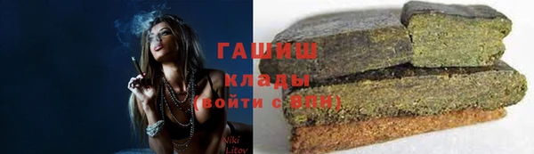 индика Абинск