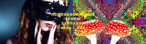 индика Абинск