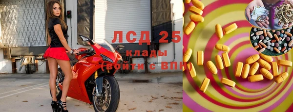 индика Абинск