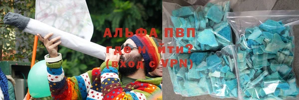 индика Абинск