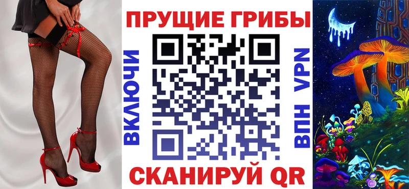 OMG tor  Александровск-Сахалинский  Псилоцибиновые грибы прущие грибы 